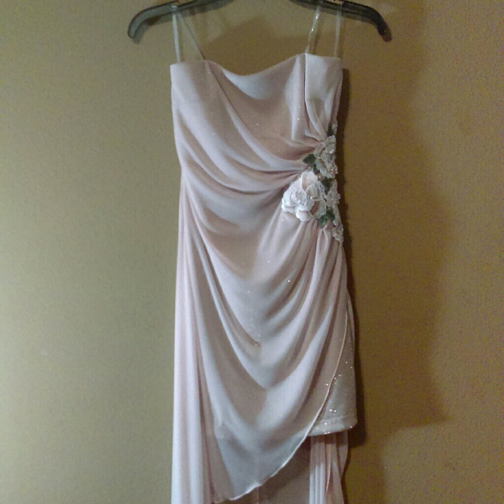 The Golden Champagne Party Dress!